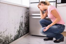 Best Residential Mold Inspection & Testing  in Midland, NC